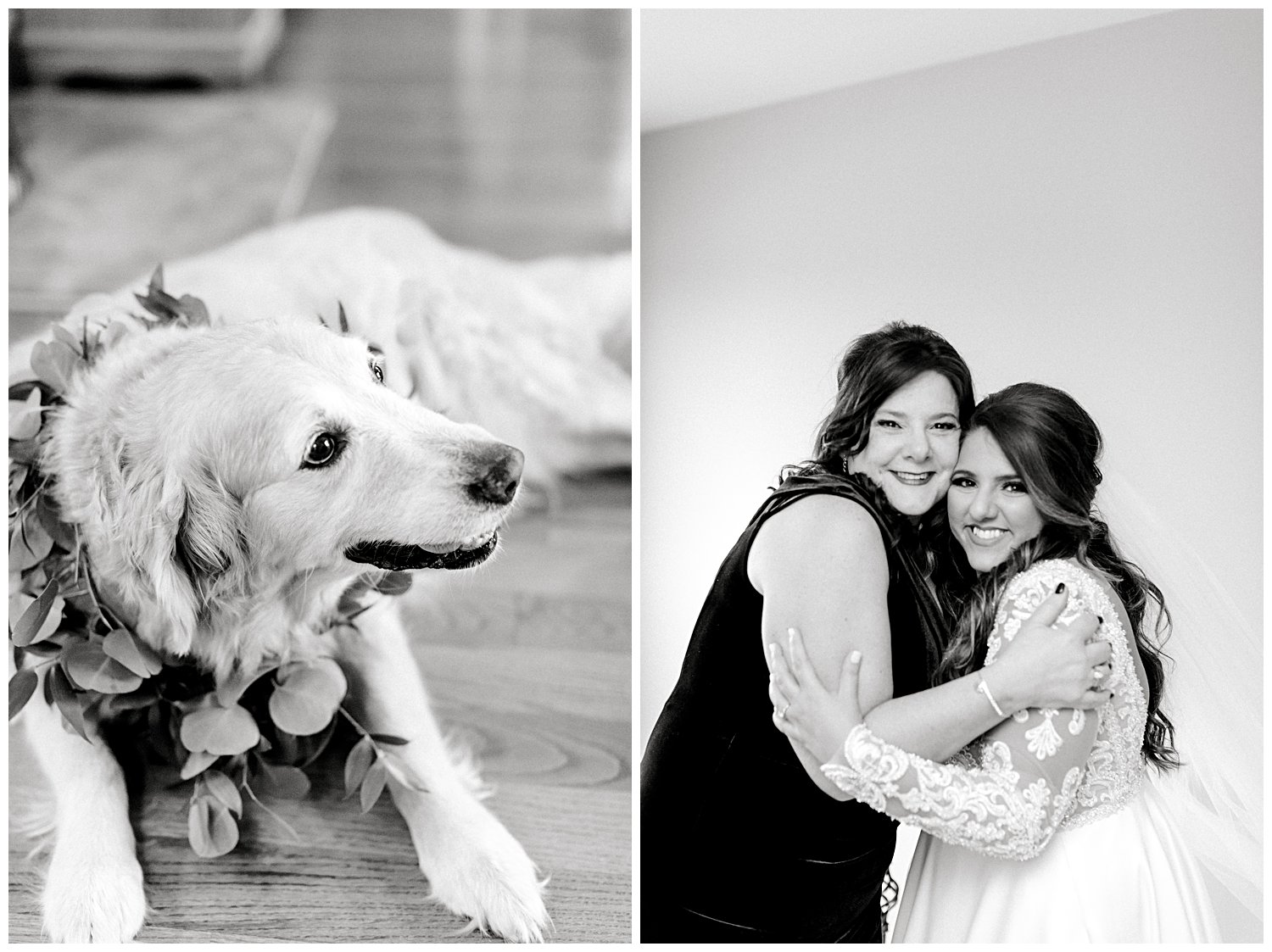 bride's dog and mother