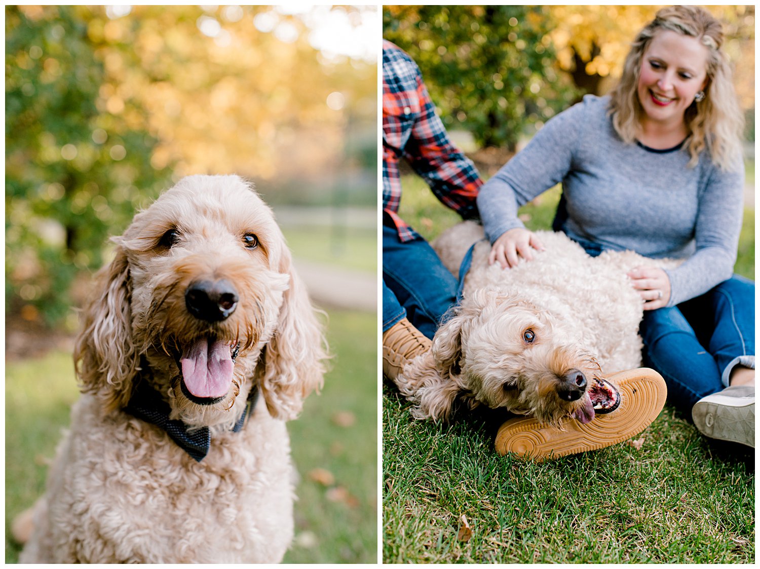 couple posing with their dog